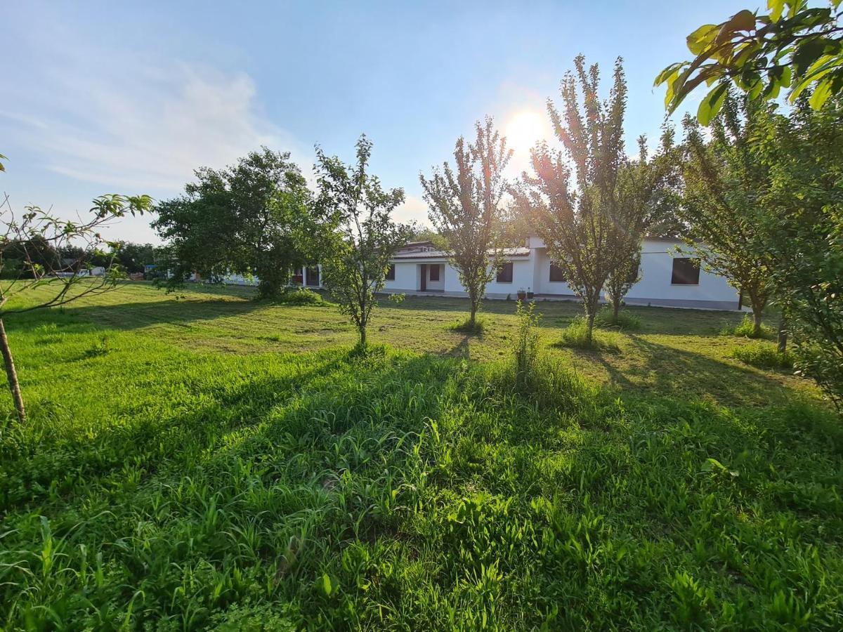 Vila Agriturismo Ca Novak Venezia Spinea Exteriér fotografie